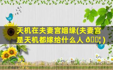 天机在夫妻宫姻缘(夫妻宫是天机都嫁给什么人 🐦 )